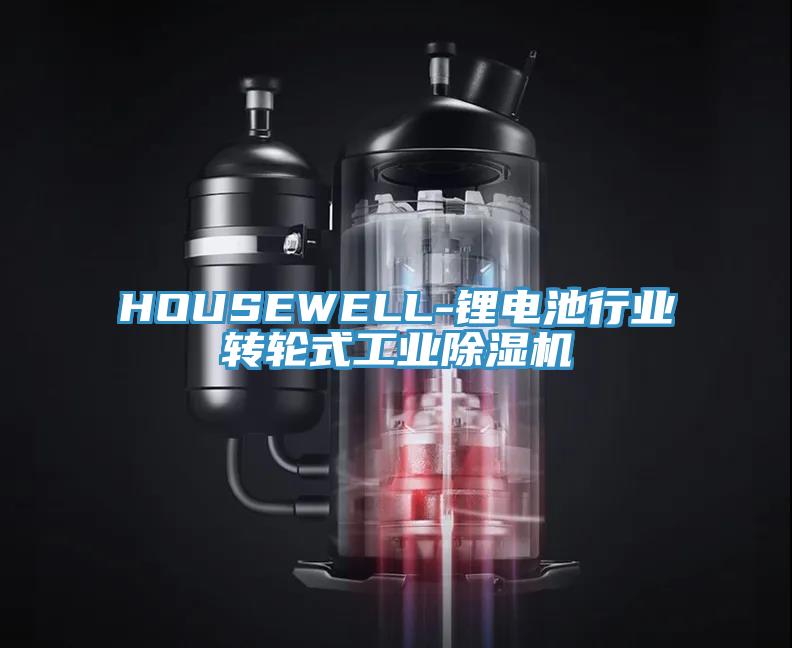 HOUSEWELL-锂电池行业转轮式工业小黄片直播视频