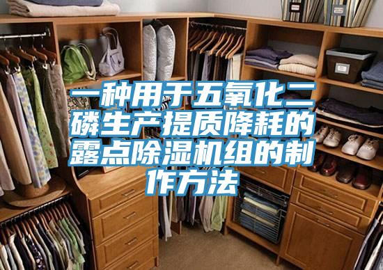 一种用于五氧化二磷生产提质降耗的露点小黄片直播视频组的制作方法