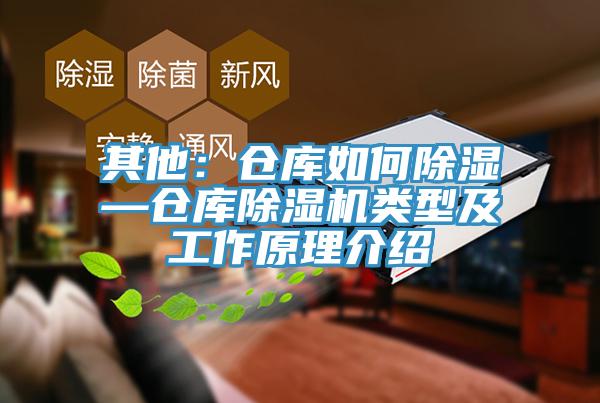 其他：仓库如何除湿—仓库小黄片直播视频类型及工作原理介绍