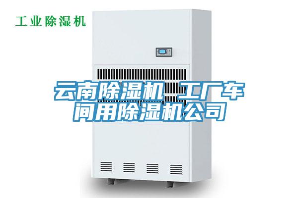 云南小黄片直播视频 工厂车间用小黄片直播视频公司
