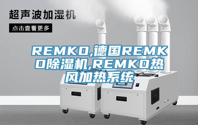 REMKO,德国REMKO小黄片直播视频,REMKO热风加热系统