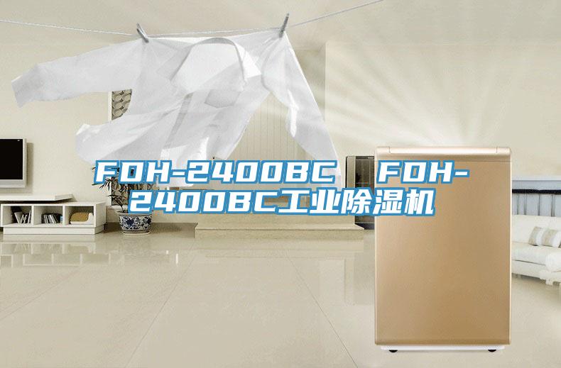 FDH-2400BC  FDH-2400BC工业小黄片直播视频