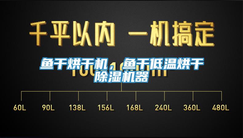 鱼干烘干机，鱼干低温烘干小黄片直播视频器