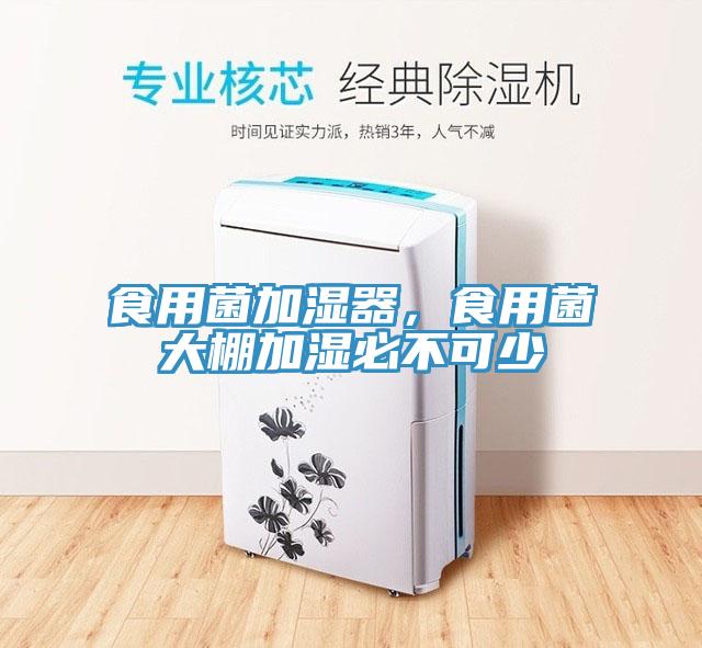 食用菌加湿器，食用菌大棚加湿必不可少