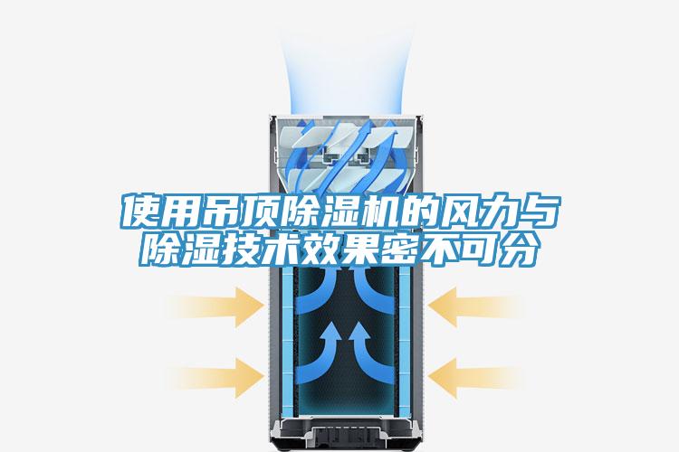 使用吊顶小黄片直播视频的风力与除湿技术效果密不可分