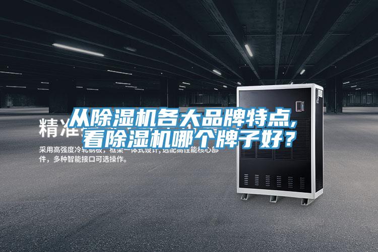 从小黄片直播视频各大品牌特点, 看小黄片直播视频哪个牌子好？