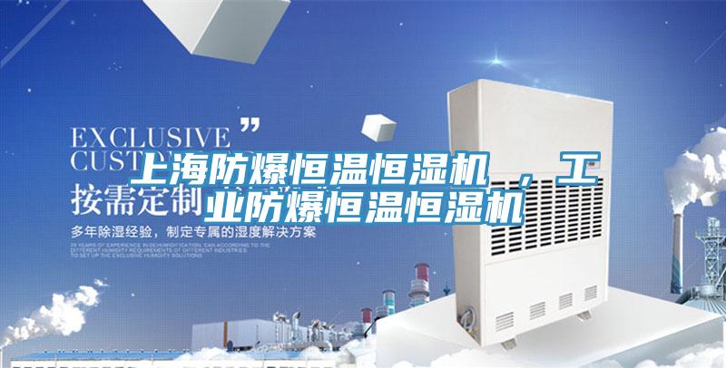 上海防爆恒温恒湿机 ，工业防爆恒温恒湿机
