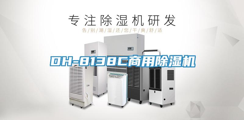DH-8138C商用小黄片直播视频