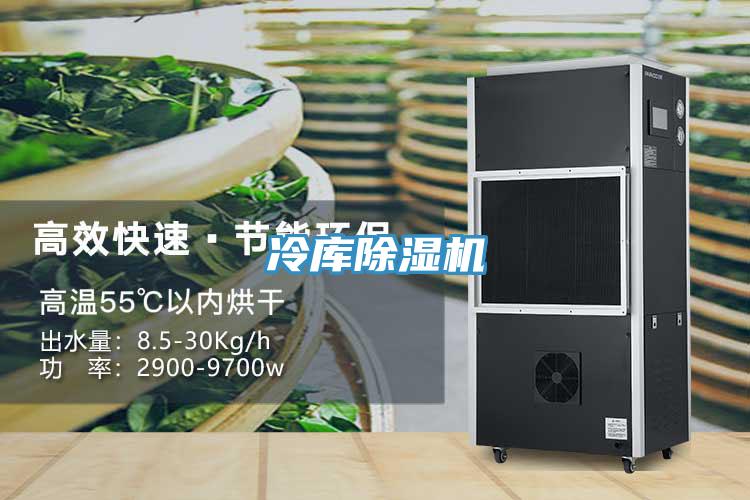 冷库小黄片直播视频