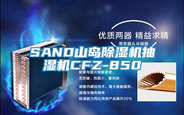 SAND山岛小黄片直播视频抽湿机CFZ-850