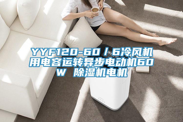 YYF120-60／6冷风机用电容运转异步电动机60W 小黄片直播视频电机