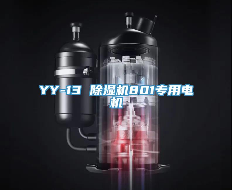 YY-13 小黄片直播视频801专用电机