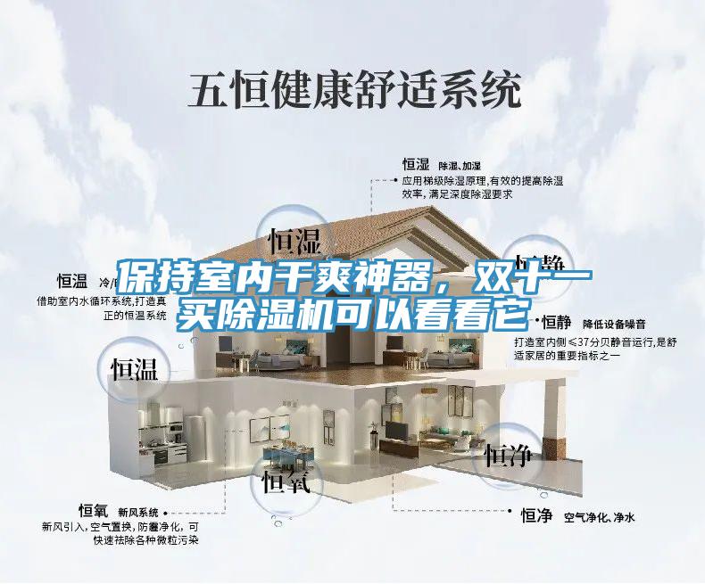 保持室内干爽神器，双十一买小黄片直播视频可以看看它