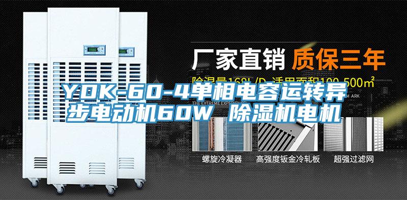 YDK-60-4单相电容运转异步电动机60W 小黄片直播视频电机
