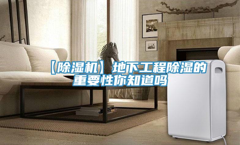 【小黄片直播视频】地下工程除湿的重要性你知道吗