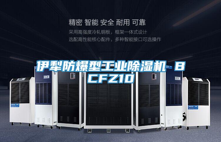 伊犁防爆型工业小黄片直播视频 BCFZ10