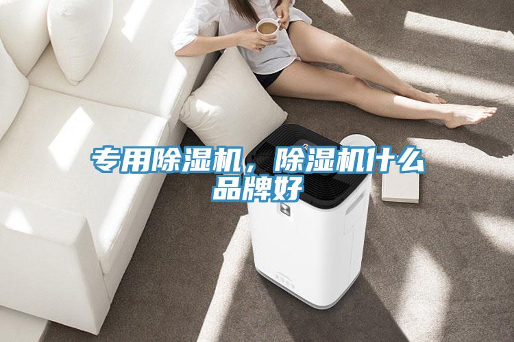 专用小黄片直播视频，小黄片直播视频什么品牌好