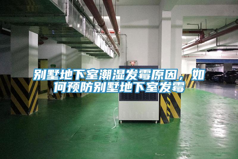 别墅地下室潮湿发霉原因，如何预防别墅地下室发霉