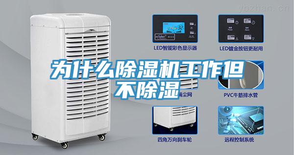 为什么小黄片直播视频工作但不除湿