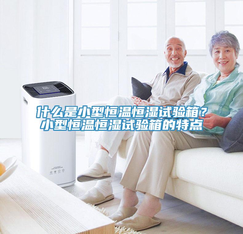 什么是小型恒温恒湿试验箱？小型恒温恒湿试验箱的特点
