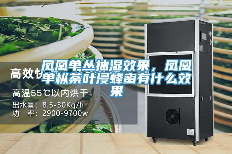 凤凰单丛抽湿效果，凤凰单枞荼叶浸蜂蜜有什么效果