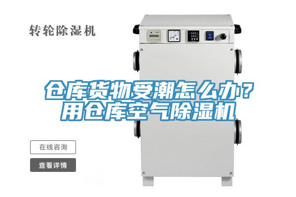 仓库货物受潮怎么办？用仓库空气小黄片直播视频