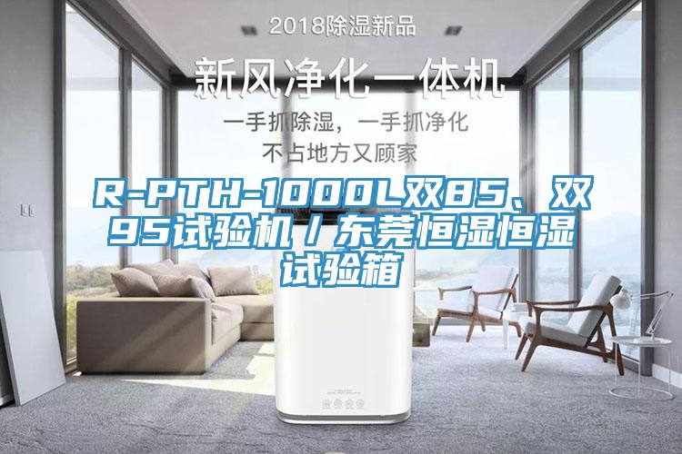 R-PTH-1000L双85、双95试验机／东莞恒湿恒湿试验箱
