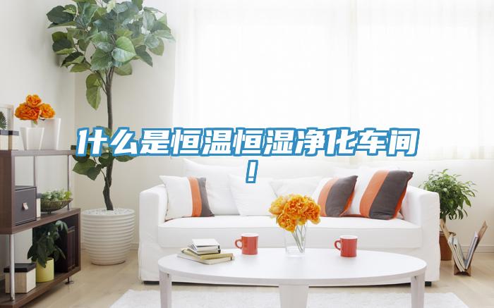 什么是恒温恒湿净化车间！