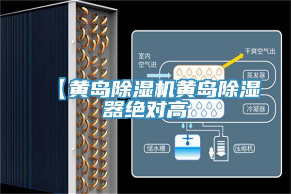 【黄岛小黄片直播视频黄岛除湿器绝对高