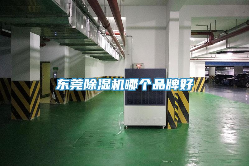 东莞小黄片直播视频哪个品牌好