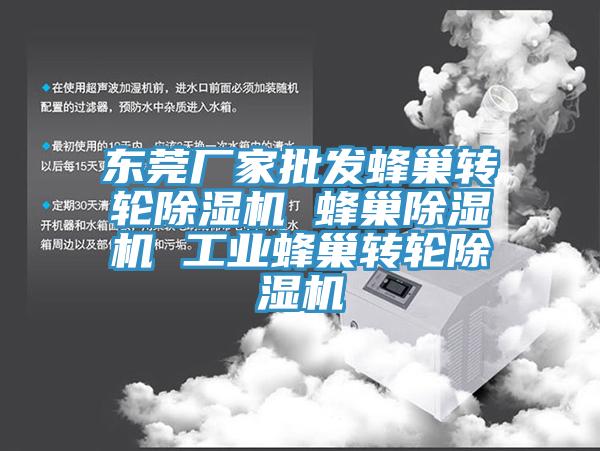 东莞厂家批发蜂巢转轮小黄片直播视频 蜂巢小黄片直播视频 工业蜂巢转轮小黄片直播视频