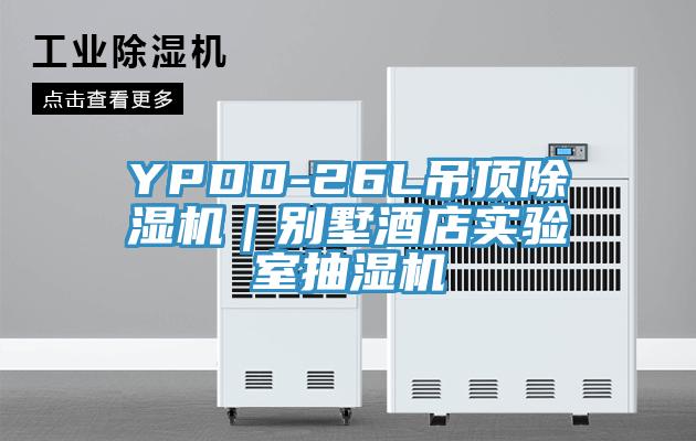 YPDD-26L吊顶小黄片直播视频｜别墅酒店实验室抽湿机