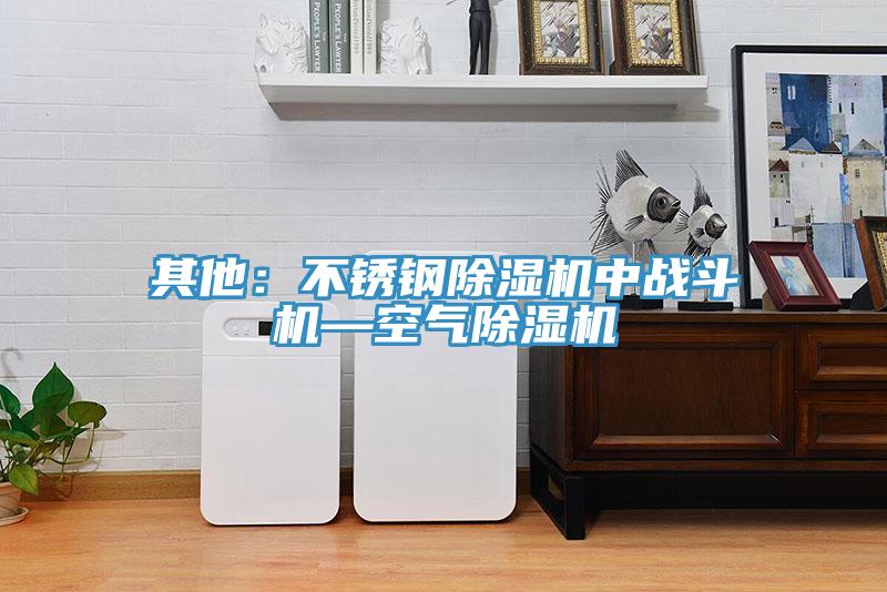 其他：不锈钢小黄片直播视频中战斗机—空气小黄片直播视频