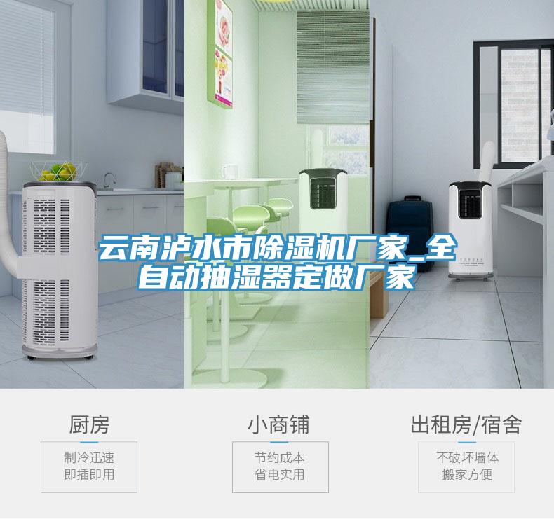 云南泸水市小黄片直播视频厂家_全自动抽湿器定做厂家