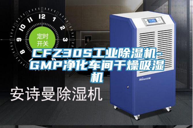 CFZ30S工业小黄片直播视频-GMP净化车间干燥吸湿机