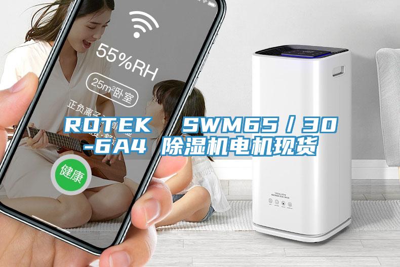ROTEK  SWM65／30-6A4 小黄片直播视频电机现货