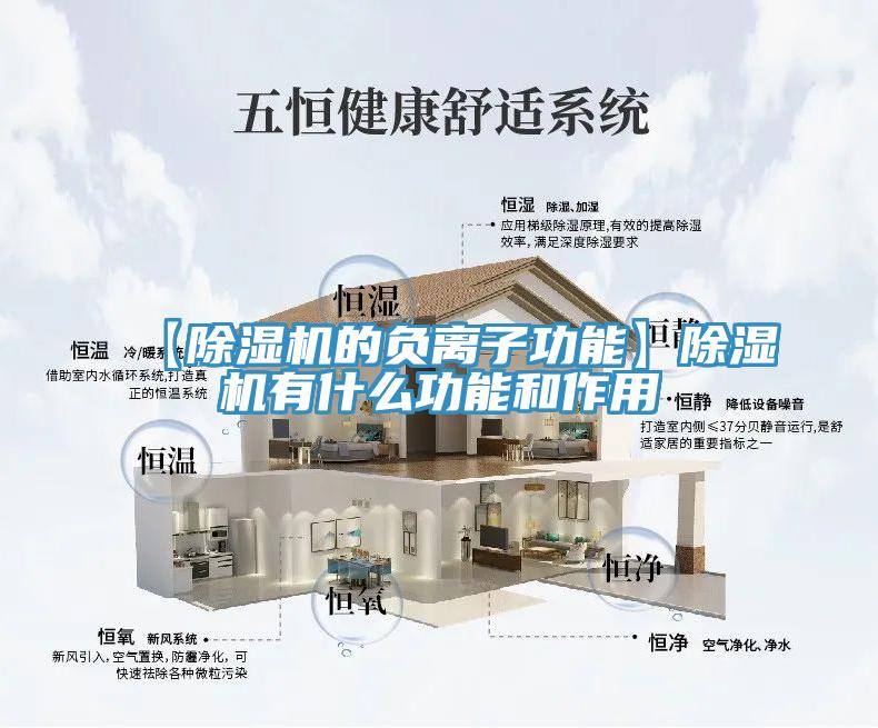 【小黄片直播视频的负离子功能】小黄片直播视频有什么功能和作用
