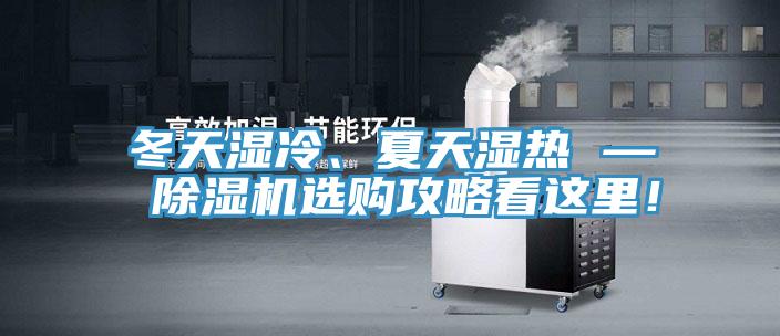 冬天湿冷、夏天湿热 — 小黄片直播视频选购攻略看这里！