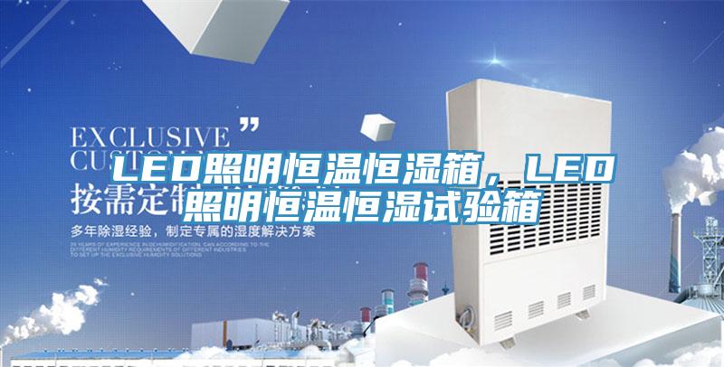 LED照明恒温恒湿箱，LED照明恒温恒湿试验箱