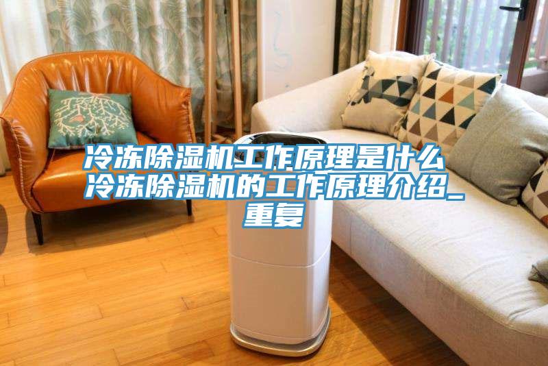 冷冻小黄片直播视频工作原理是什么 冷冻小黄片直播视频的工作原理介绍_重复