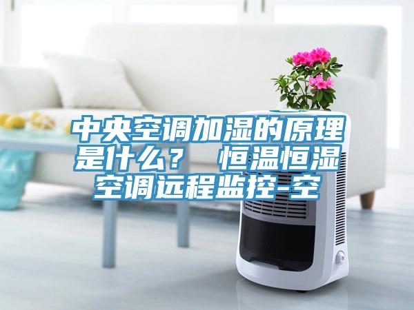 中央空调加湿的原理是什么？ 恒温恒湿空调远程监控-空