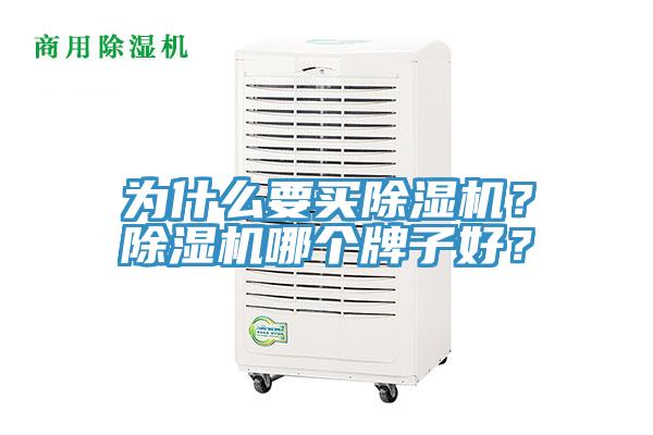 为什么要买小黄片直播视频？小黄片直播视频哪个牌子好？