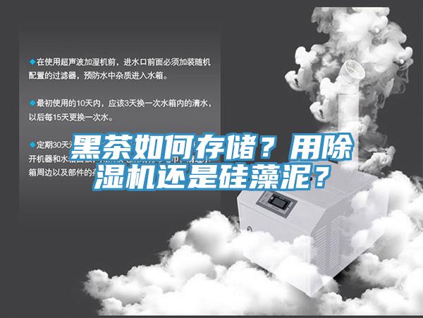 黑茶如何存储？用小黄片直播视频还是硅藻泥？
