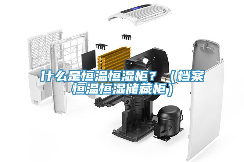 什么是恒温恒湿柜？（档案恒温恒湿储藏柜）