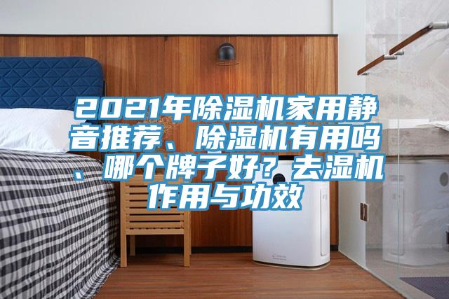 2021年小黄片直播视频家用静音推荐、小黄片直播视频有用吗、哪个牌子好？去湿机作用与功效