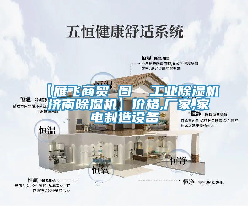 【雁飞商贸 图  工业小黄片直播视频 济南小黄片直播视频】价格,厂家,家电制造设备