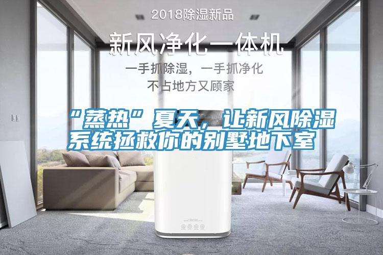“蒸热”夏天，让新风除湿系统拯救你的别墅地下室