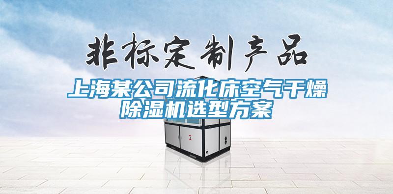 上海某公司流化床空气干燥小黄片直播视频选型方案