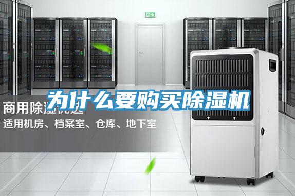 为什么要购买小黄片直播视频