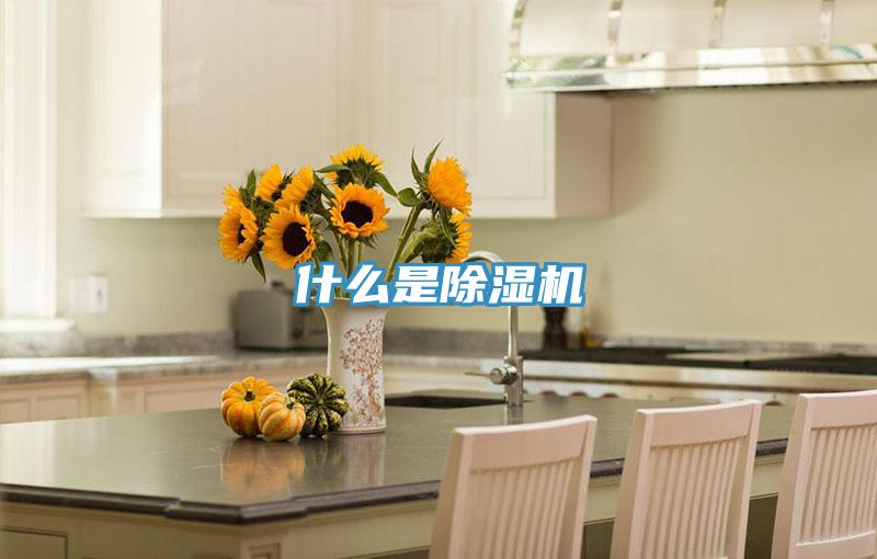 什么是小黄片直播视频